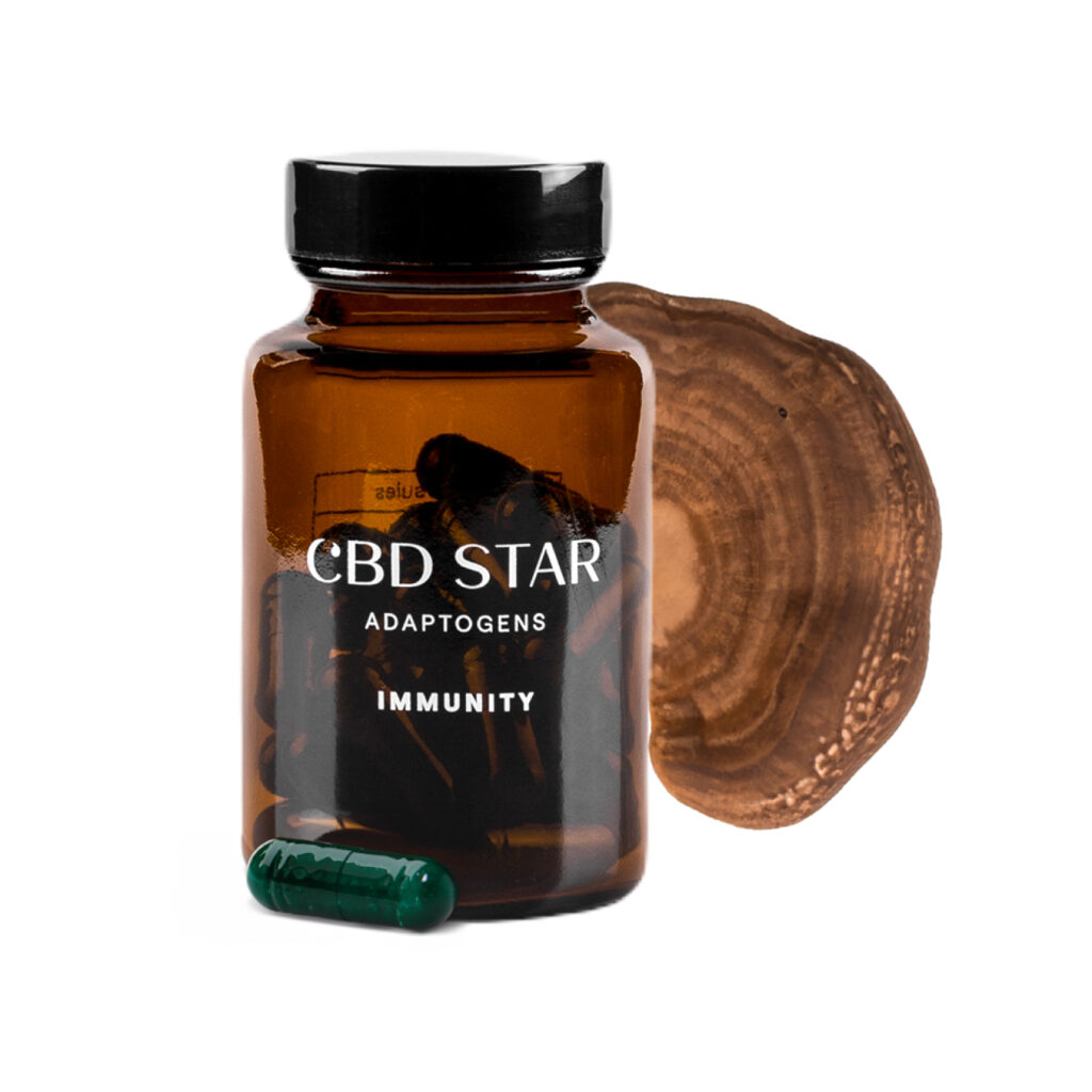 cbd active immunity reishi chaga