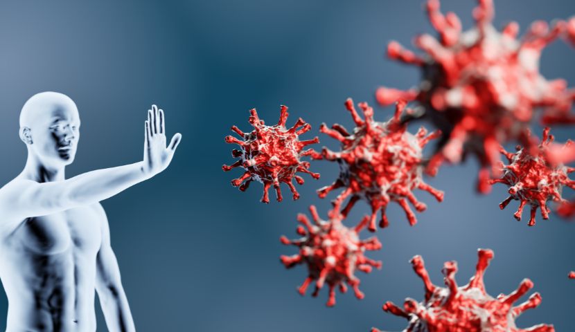 význam imunitního systému