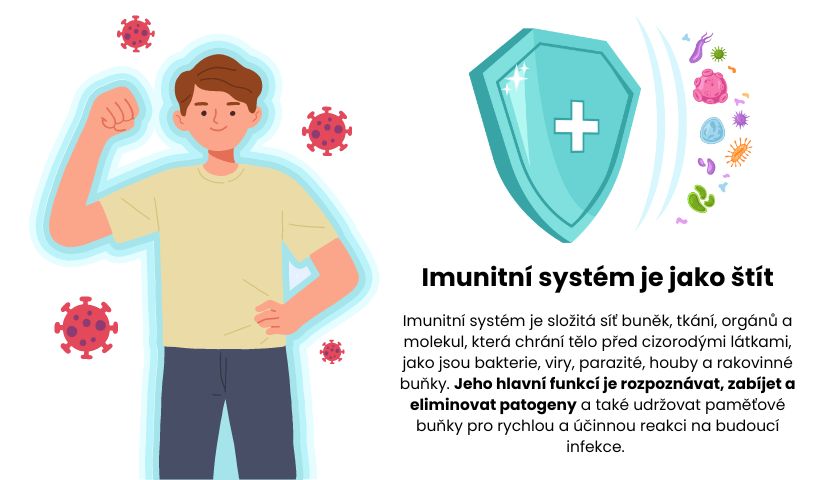 imunitní systém jako štít